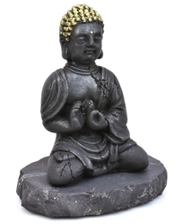 Buddha se zlatou hlavou