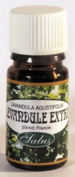 Levandule extra /lavandula angustifolia/