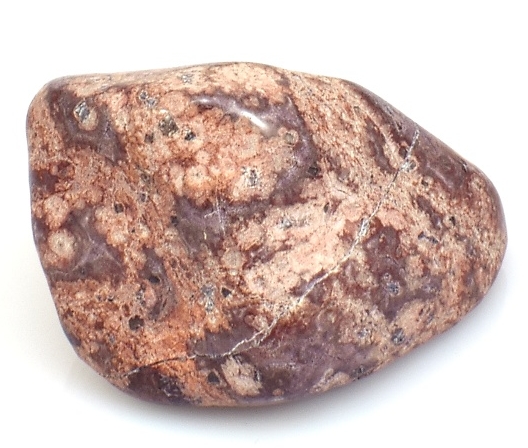 Jaspis leopardí