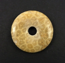Korál fosilní donut