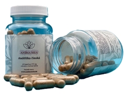 Andělika čínská