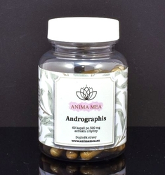 Andrographis / Právenka latnatá (Chuan Xin Lian)  8/2026