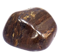 Bronzit / 2614