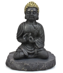 Buddha se zlatou hlavou