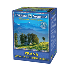 PRANA - Vitalita a životní energie