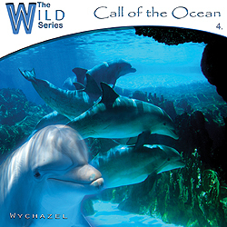 Hlas oceánu / Call of the Ocean - Wychazel
