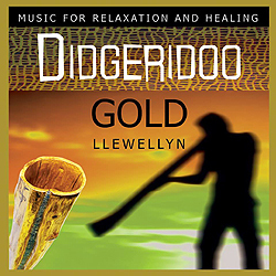 Zlaté didgeridoo / Didgeridoo Gold - Llewellyn