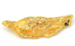 Jantar / 4594