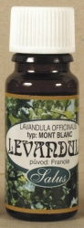 Levandule /lavandula officinalis/