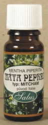 Máta peprná /mentha piperita/