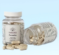 Pornatka kokosová  3/2026