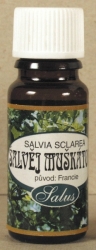 Šalvěj muškátová /salvia sclarea/