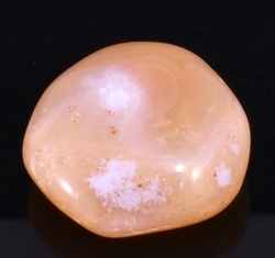 Sardonyx / 728