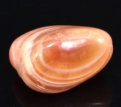 Sardonyx / 731