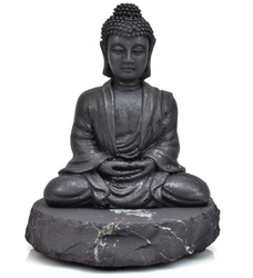 Buddha - kopie