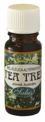 Tea tree /melaleuca alternifolia/