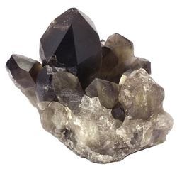 Zahneda