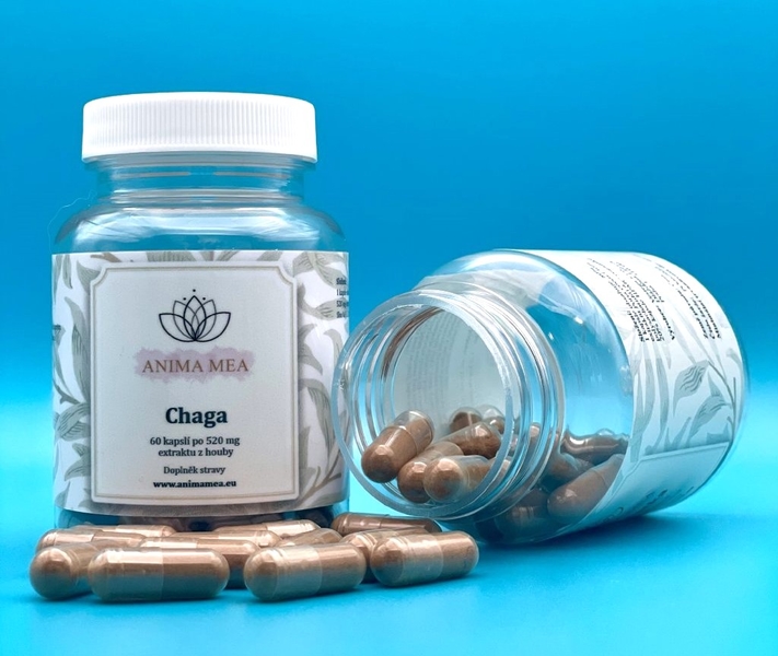 Chaga 60 cps