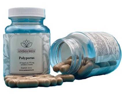 Polyporus
