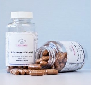 Rdesno mnohokvěté